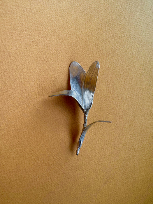 Flora