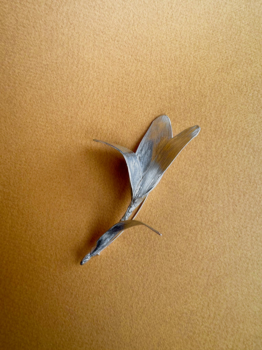 Flora